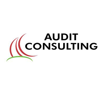 Logo Audit Consulting